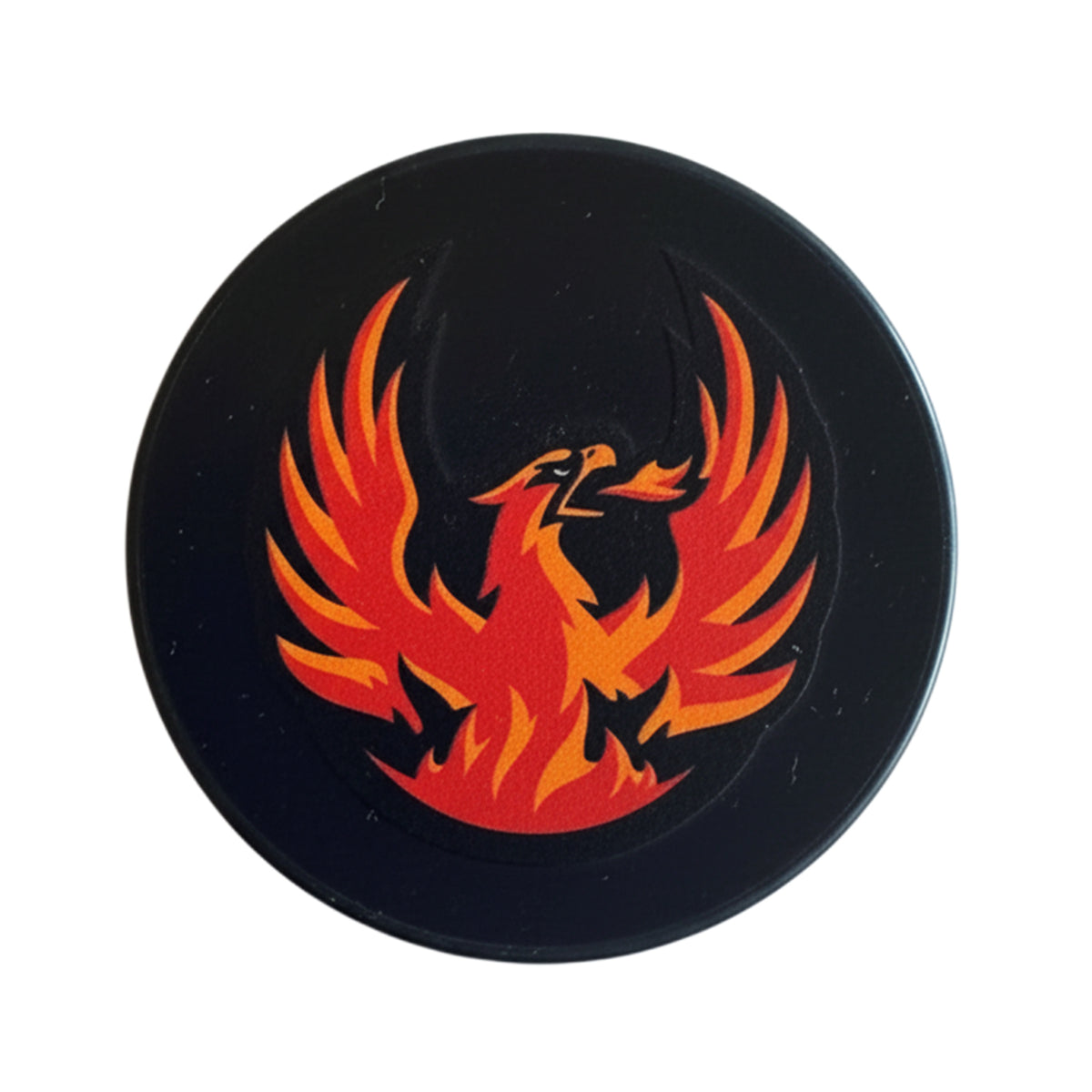 Coachella Valley Firebirds Primary Logo Puck Midnight
