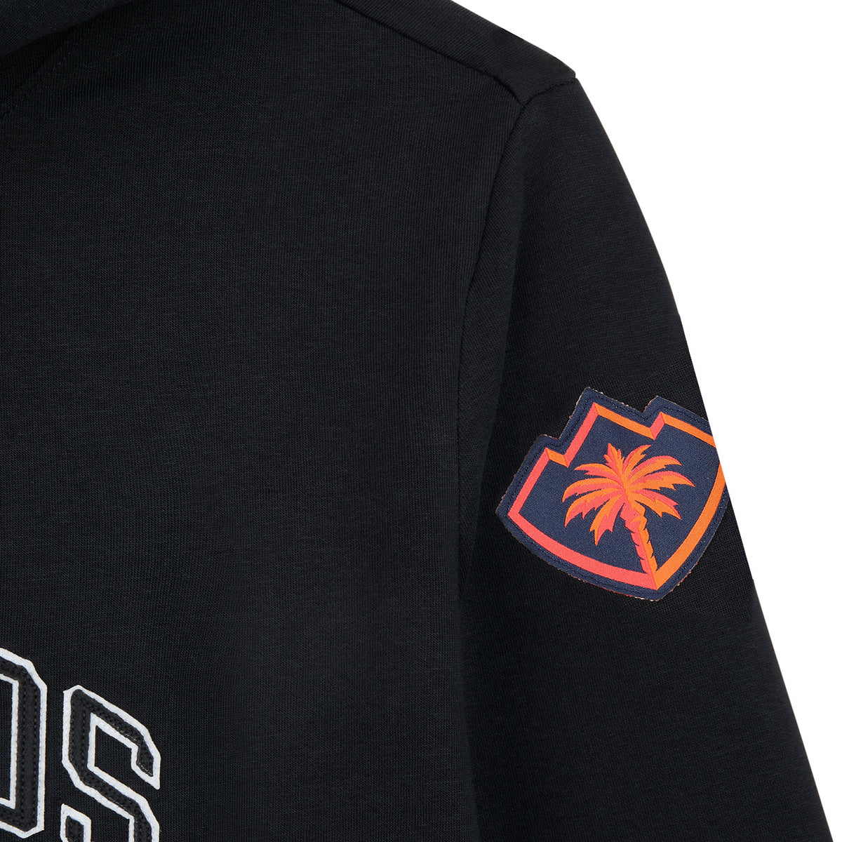 Coachella Valley Firebirds Applique Ovesized Hoodie