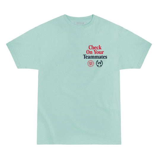Coachella Valley Firebirds Check Your Teammates Ice Blue Tee